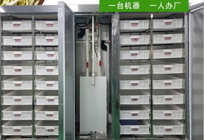 全自動豆芽機(jī)生產(chǎn)芽苗菜投資少